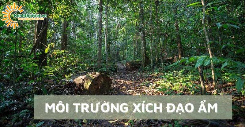 Môi trường xích đạo ẩm