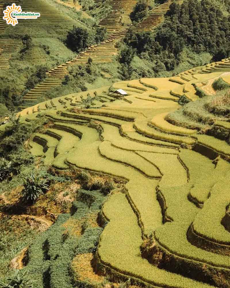 Du lịch ở Mù Cang Chải