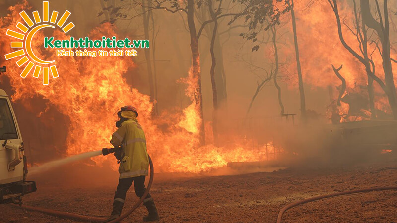 Cháy rừng tại Australia tiếp tục lan rộng, thiêu rụi hàng triệu ha