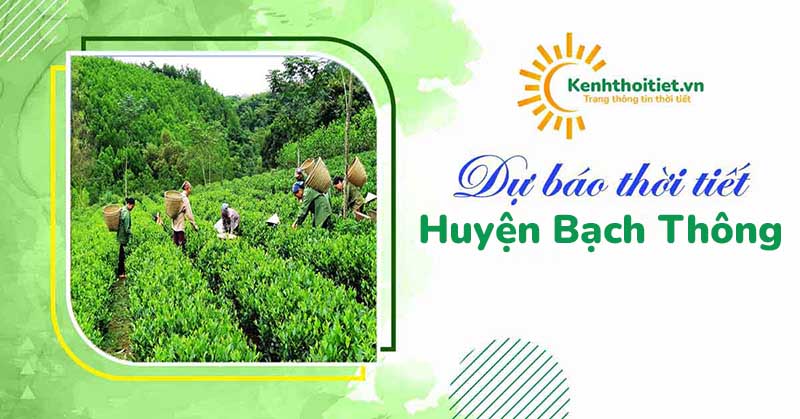 Dự báo thời tiết huyện Bạch Thông