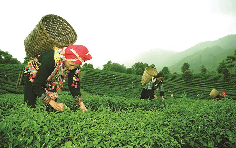 huyện Tân Uyên